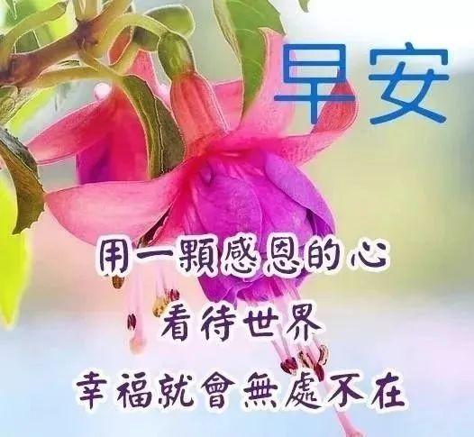 姐丶就是如此完美