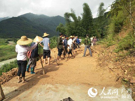 苗乡新项目，引领乡村发展的璀璨明珠闪耀登场