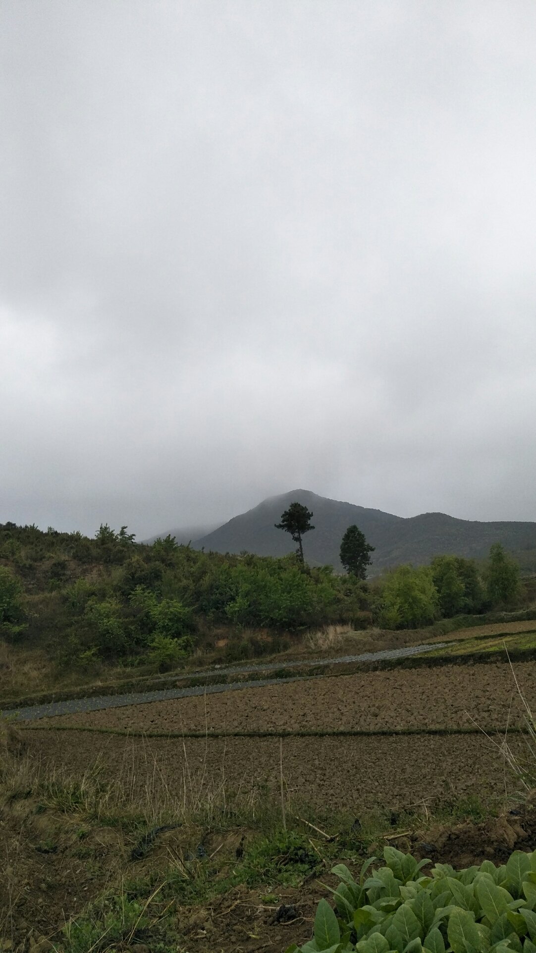 余丁乡天气预报更新通知