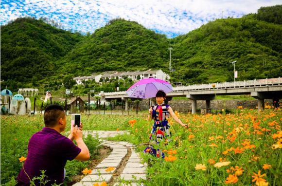 青龙山林场最新交通动态报道