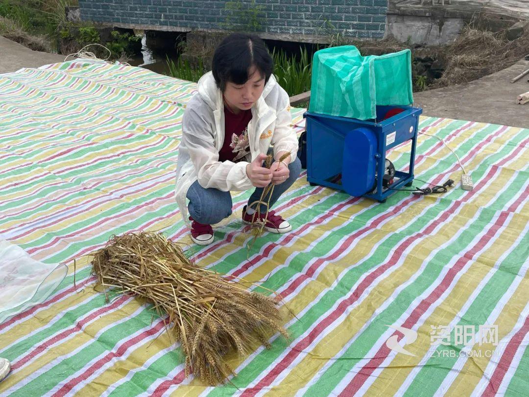 资阳市企业调查队最新动态报道